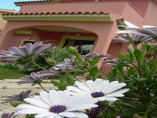 Ariedo Bed And Breakfast Capoterra Quarto foto